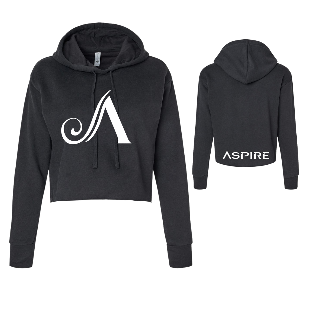 Aspire Cropped Hoodie with Front Logo + Back Detail