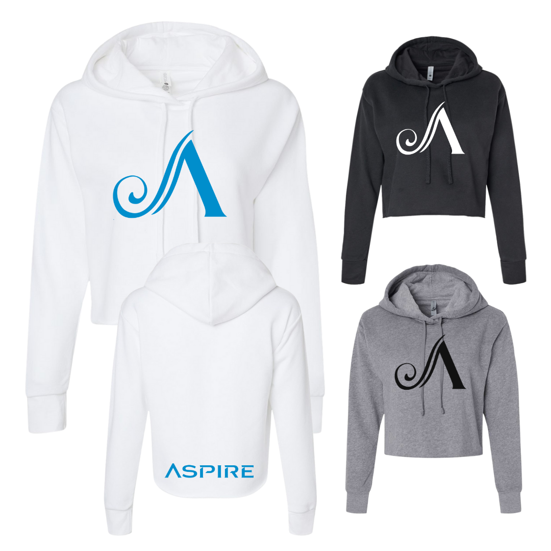 Aspire Cropped Hoodie with Front Logo + Back Detail