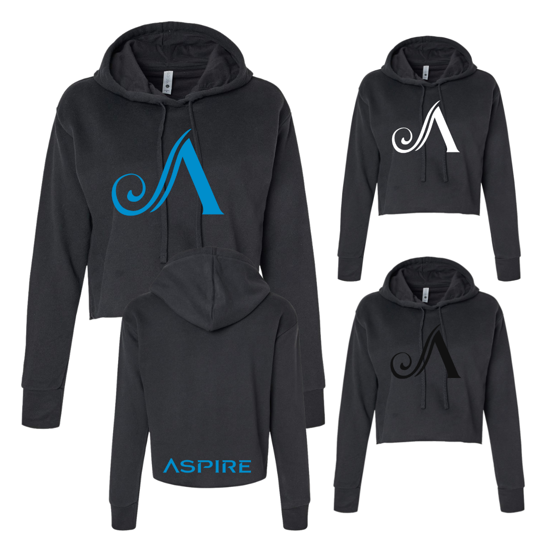 Aspire Cropped Hoodie with Front Logo + Back Detail