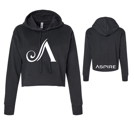 Aspire Cropped Hoodie with Front Logo + Back  Detail