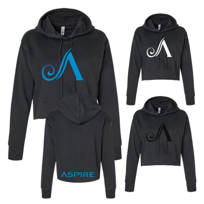 Aspire Cropped Hoodie with Front Logo + Back  Detail