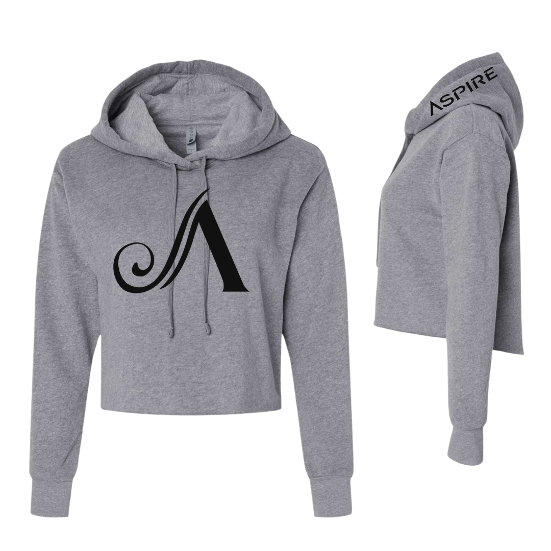 Aspire Cropped Hoodie with Front Logo + Hood Detail