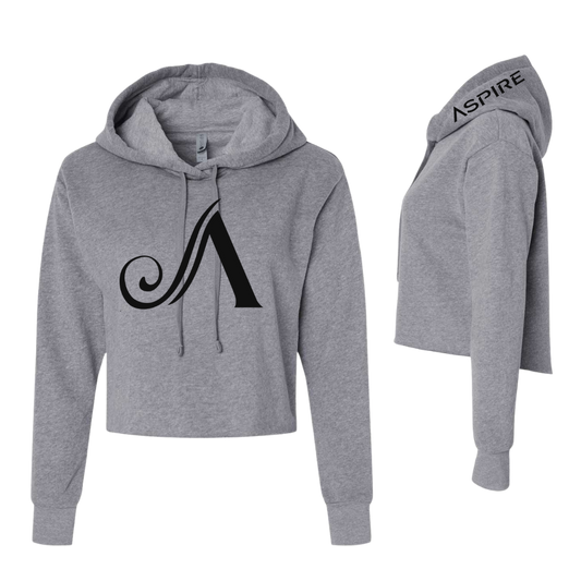 Aspire Cropped Hoodie with Front Logo + Hood Detail