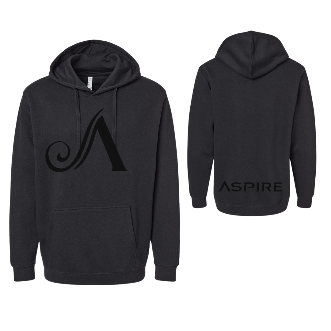 Aspire Unisex Hoodie with Front Logo + Back Detail