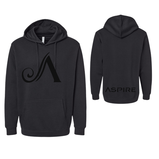 Aspire Unisex Hoodie with Front Logo + Back Detail