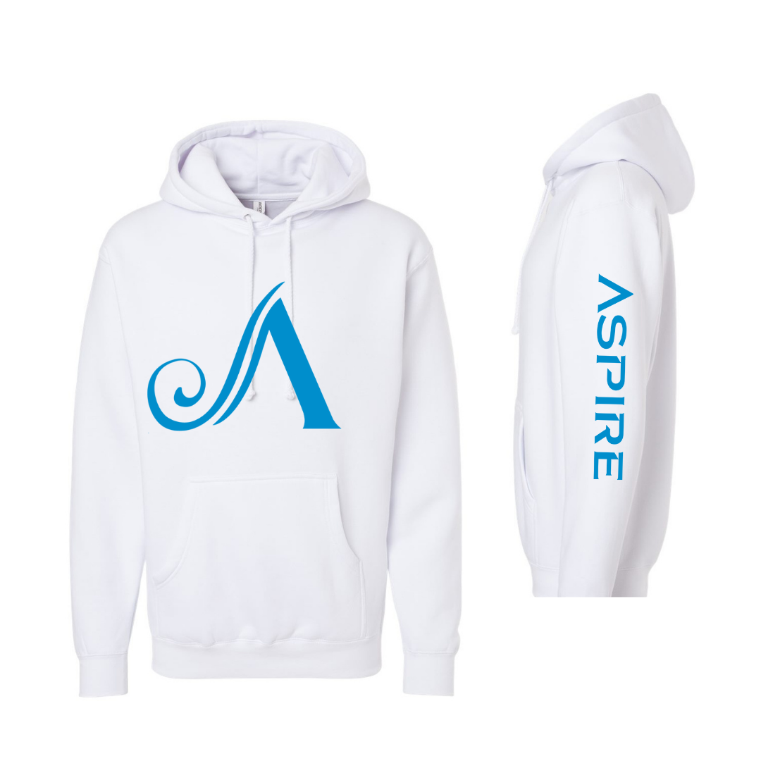 Aspire Unisex Hoodie with Front Logo + Sleeve Detail