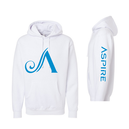 Aspire Unisex Hoodie with Front Logo + Sleeve Detail