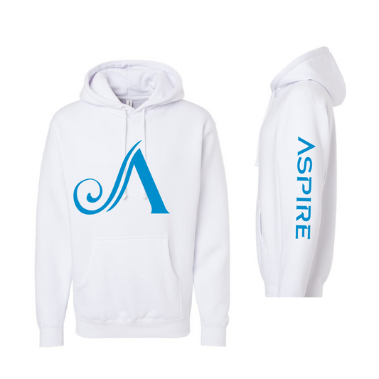 Aspire Unisex Hoodie with Front Logo + Sleeve Detail