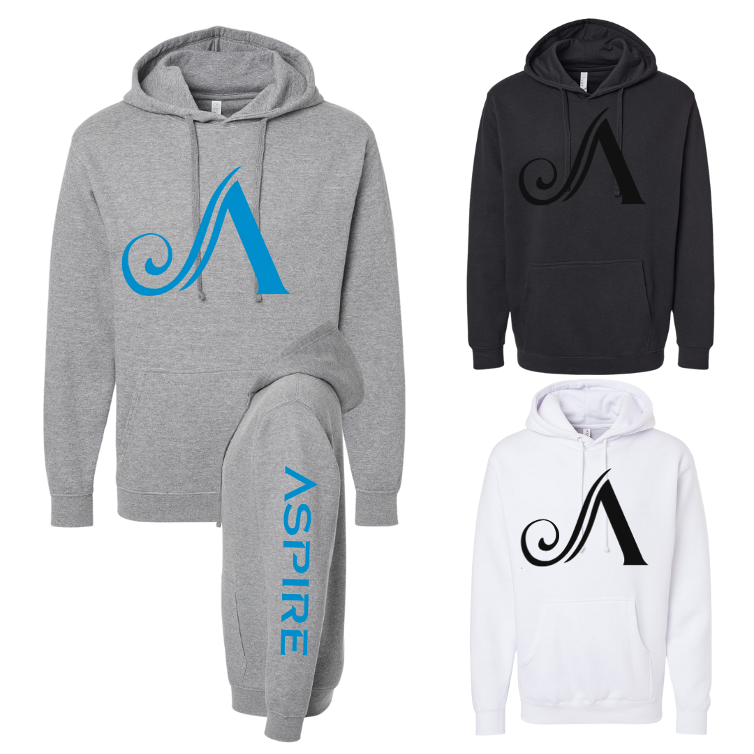 Aspire Unisex Hoodie with Front Logo + Sleeve Detail