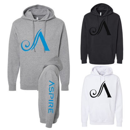 Aspire Unisex Hoodie with Front Logo + Sleeve Detail